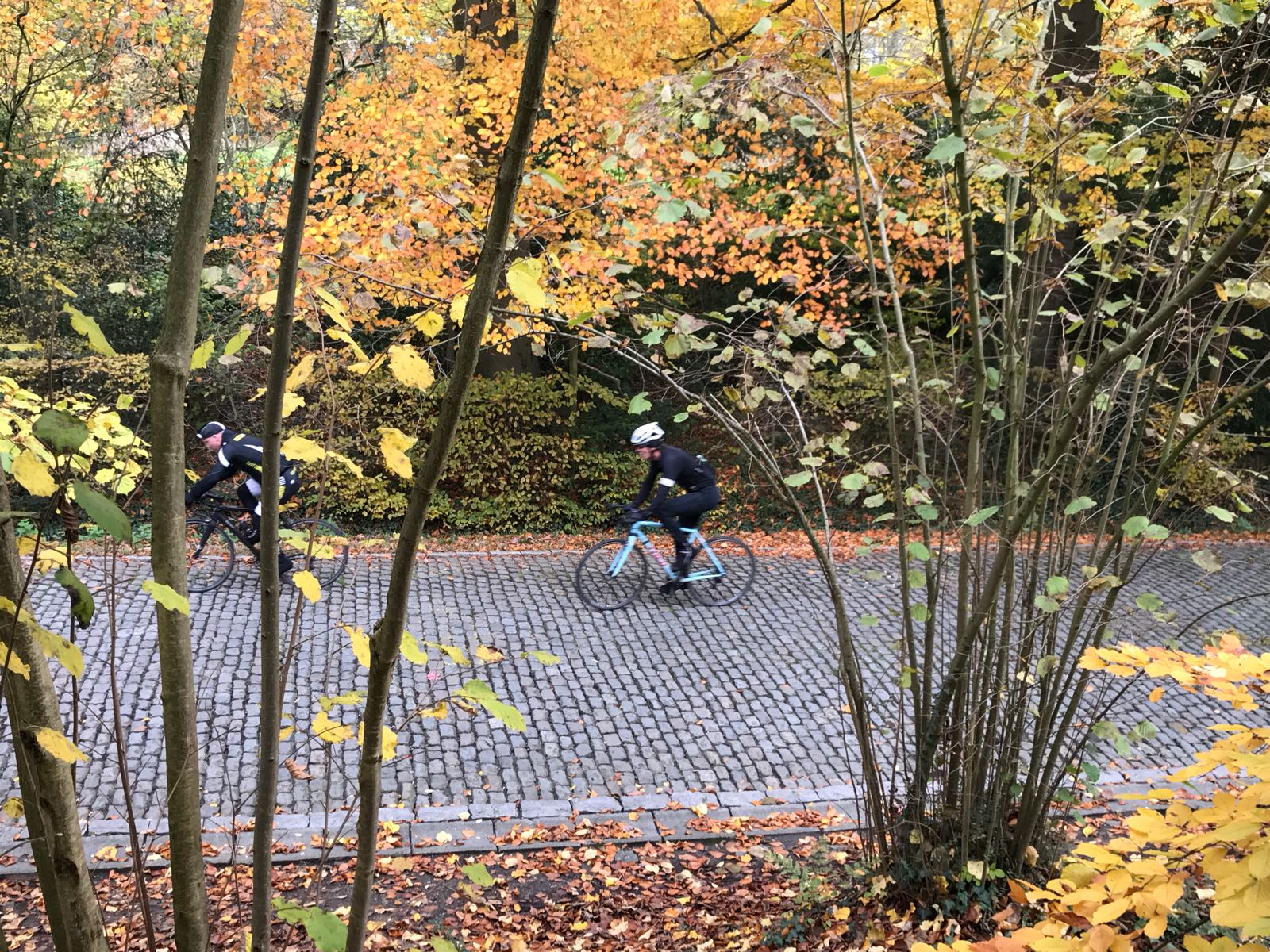 2017-11-20-PHOTO-00000437